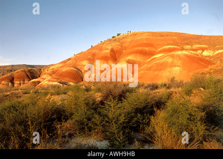 USA, Pacific Northwest, Washington, Kimberly, John Day Fossil jumeaux Monument National, l'unité de collines peintes Banque D'Images