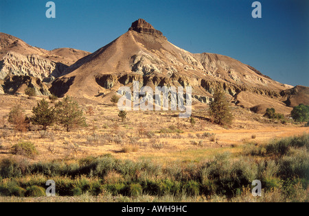 USA, Pacific Northwest, Washington, Kimberly, John Day Fossil jumeaux National Monument, l'unité de roche de moutons Banque D'Images