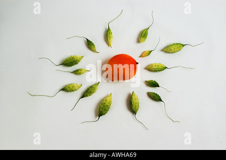 Groupe Groupe collection de melon amer asiatique à la souris comme le sperme ou la position de mango dsc 9785 oeufs Banque D'Images