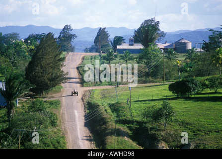 Les terres agricoles détenues par les Mennonites en Amérique centrale Belize Spanish Lookout Banque D'Images