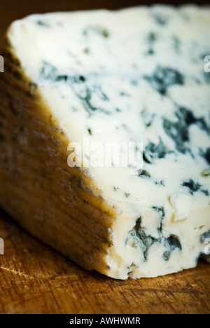 Stock photo d'un morceau de fromage bleu d'Auvergne fromage français savoureux délicieux Banque D'Images