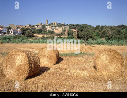 Paysage agricole près de Pals sur la Costa Brava avec des agriculteurs à balles rondes de paille debout dans le champ de maïs après récolte de la récolte en Catalogne Espagne UE Banque D'Images