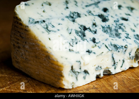 Stock photo d'un morceau de fromage bleu d'Auvergne fromage français savoureux délicieux Banque D'Images