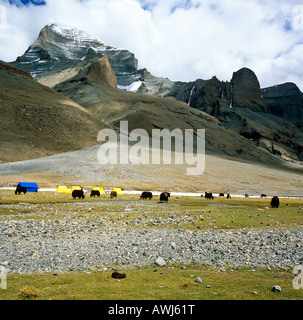 Face Ouest du Mont Kailash avec Yacks et tentes Tibet de l'Asie Banque D'Images