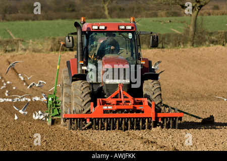 La plantation d'agriculteur haricots avec un semoir pneumatique monté sur un tracteur Maxxum Case équipé de disques montés à l'avant Banque D'Images