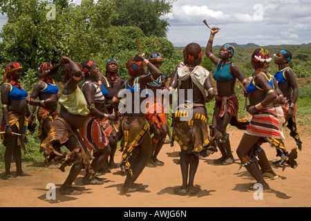 Les femmes de la tribu Hamer Dance devant un taureau sautant quand ils sont fouettés, vallée de la rivière Omo, Dimeka, Ethiopie Banque D'Images