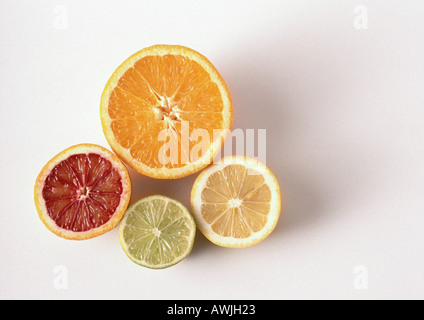 Les coupes transversales de orange, orange sanguine, citron, lime, close-up, high angle view, fond blanc Banque D'Images