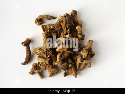 Amas de racines de ginseng against white background, close-up Banque D'Images