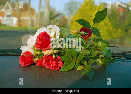 Un bouquet de roses à la main se trouve sur le tableau de bord d'une voiture comme il se conduit d'une route de banlieue Banque D'Images