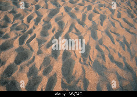 Plage de sable avec de nombreuses empreintes de pas au coucher du soleil Banque D'Images