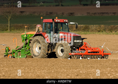 La plantation d'agriculteur haricots avec un semoir pneumatique monté sur un tracteur Maxxum Case équipé de disques montés à l'avant Banque D'Images