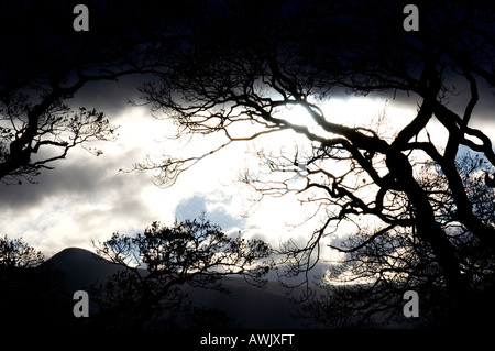 Une vue générale du quartier du Lac Windermere à neatr imagée dans Cumbria Ici vous pouvez voir la silhouette d'une nuit dramatique Banque D'Images