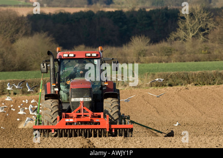 La plantation d'agriculteur haricots avec un semoir pneumatique monté sur un tracteur Maxxum Case équipé de disques montés à l'avant Banque D'Images