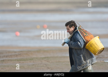 Bait digger aller au travail Norfolk East Anglia UK Mars Banque D'Images