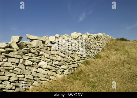 Mur de Drystone près de Dancing Ledge, bordant un champ sur une colline au sommet des falaises, Worth Matravers, Dorset, Royaume-Uni. Septembre Banque D'Images