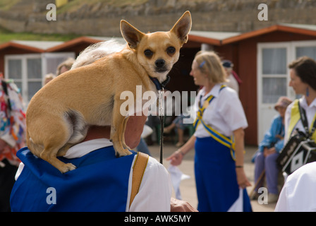 Swanage, Dorset, UK. Festival Folk de Swanage, chien sur les épaules de la danseuse dans le long de la mer, Septembre Banque D'Images