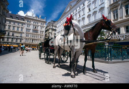 La calèche dans la ville, Vienne, Autriche Banque D'Images