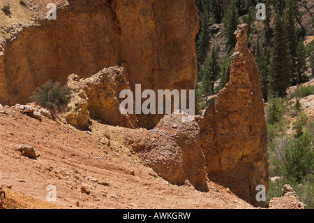 Bryce Canyon de bouleau noir Point, Utah Banque D'Images