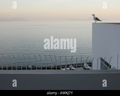 L'île de Capri vue du quartier Posillipo - Naples Campania Italia - Naples Italie Europe du Sud Banque D'Images
