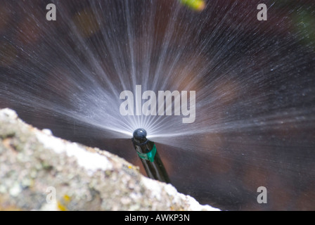 Buse de pulvérisation système d'irrigation de jardin Banque D'Images