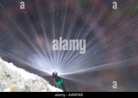 Buse de pulvérisation système d'irrigation de jardin Banque D'Images