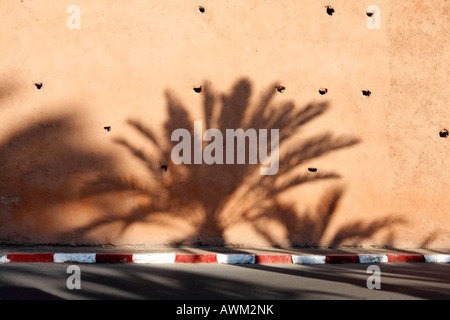 En fin d'après-midi, palmiers projetant de longues ombres sur une rue et vieux mur de loam, quartier historique de la médina, Marrakech, Maroc, A Banque D'Images