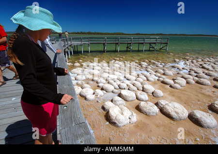 Personnes regardant bombé thrombolites de boardwalk sur le bord du lac Clifton Yalgorup National Park Australie Occidentale Aucun PR Banque D'Images