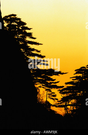 Lever du soleil à "début de croire, Pic ' Huangshan, Anhui, China, Asia Banque D'Images