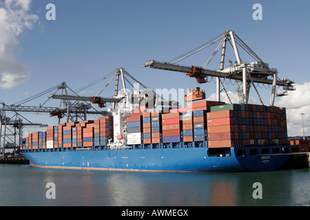 Le levage des conteneurs sur le navire porte-conteneurs Copiapo le port du Havre Seine Maritime France Banque D'Images