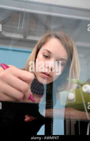 Young Girl doing her homework Banque D'Images