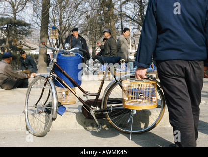 Chine, province de Hebei, Beijing, man holding the birdcage, les gens en arrière-plan Banque D'Images