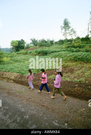 Chine, région autonome du Guangxi, les enfants marcher seul fichier le long chemin de terre en zone rurale Banque D'Images