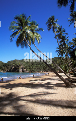 Playa Medina Medina (plage), Sucre, Venezuela, côte Des Caraïbes Banque D'Images