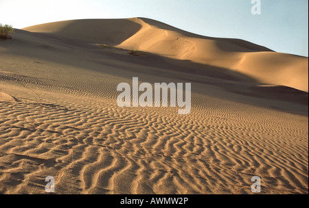 Le chant dans le parc national de dunes Altyn Emel, Kazakhstan Banque D'Images