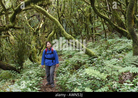 Femme de la randonnée à travers le Parc National de Garajonay, Laurel, la forêt laurisilva, La Gomera, Canary Islands, Spain Banque D'Images