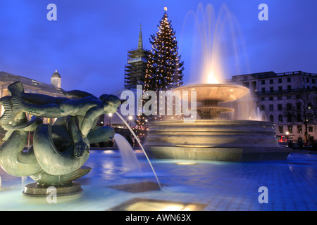 Trafalgar Square avec une fontaine et l'arbre de Noël, Londres, UK Banque D'Images