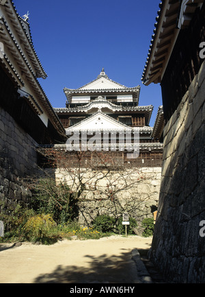 Matsuyama Castle. Toits ornés. Des murs en pierre. Les plantes vertes. Ciel bleu. Banque D'Images