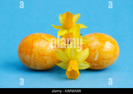 Peint en jaune des oeufs de Pâques, des jonquilles Banque D'Images