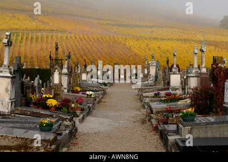 Cimetière avec automne vignes en arrière-plan, Guebwiller, Alsace, France, Europe Banque D'Images