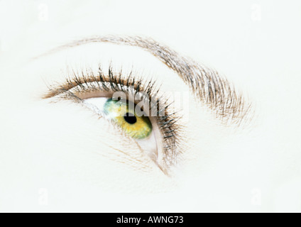 Woman's hazel eye, vue de dessous. Banque D'Images