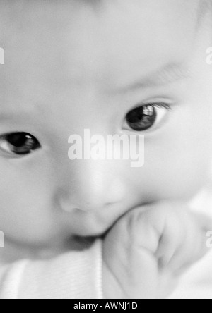 Visage du bébé avec la main dans la bouche, close-up, B&W. Banque D'Images