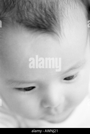 La tête de bébé, portrait, close-up, B&W. Banque D'Images