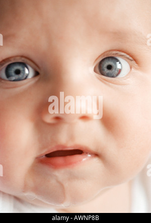 Visage du bébé avec la bave sur le menton, looking at camera, close-up