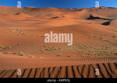 Red star, Dunes Sossusvlei, Namibie, Afrique Banque D'Images