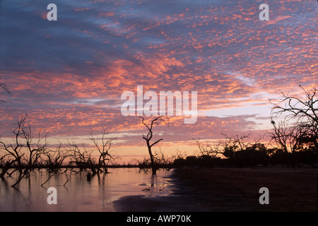 Lever du soleil sur le lac, Pamamaroo Kinchega National Park, New South Wales, Australie, Océanie Banque D'Images