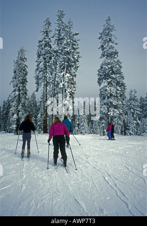 Les gens, le ski de fond, Badger Pass Ski Area, Yosemite National Park, Californie Banque D'Images