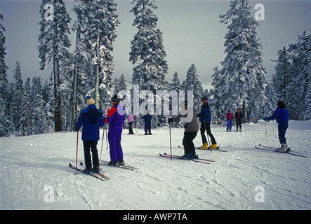 Les gens, le ski de fond, Badger Pass Ski Area, Yosemite National Park, Californie Banque D'Images