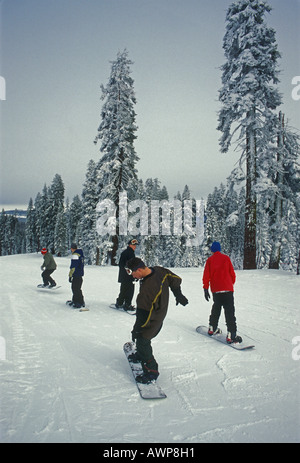 Les gens, snowboard, Badger Pass Ski Area, Yosemite National Park, Californie Banque D'Images