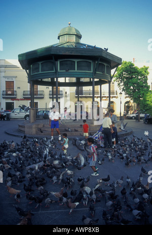 Portoricains, Portoricain, personnes, enfants, famille, de nourrir les pigeons, Plaza de Armas, Old San Juan, San Juan, Porto Rico, Antilles Banque D'Images