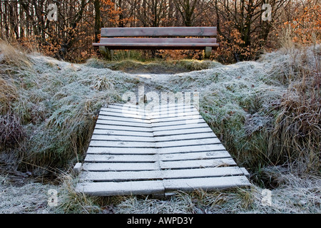 En hiver, de tourbières bombées en banc les Hautes Fagnes Hautes Fagnes' (') Uplands, Liège, Belgique, Europe Banque D'Images